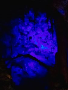 14355825_1375751109113083_1045987665_n
